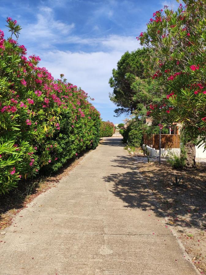 Coquette Villa De Vacances Le Barcarès Екстериор снимка